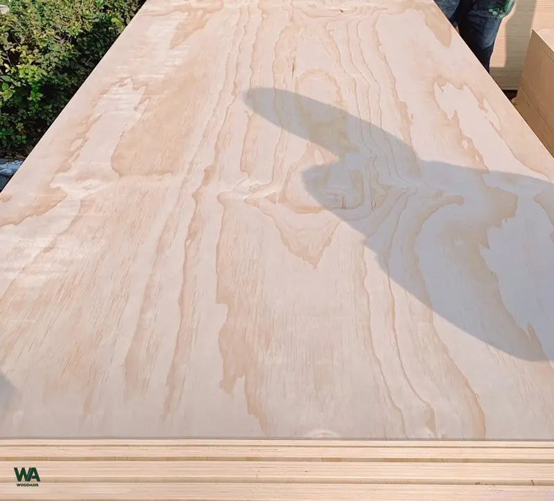 pine plywood