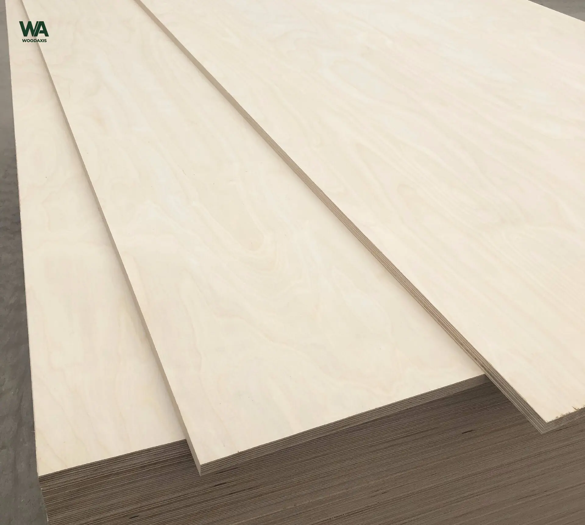 birch plywood