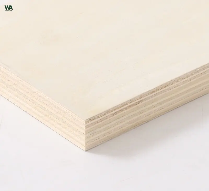 poplar plywood