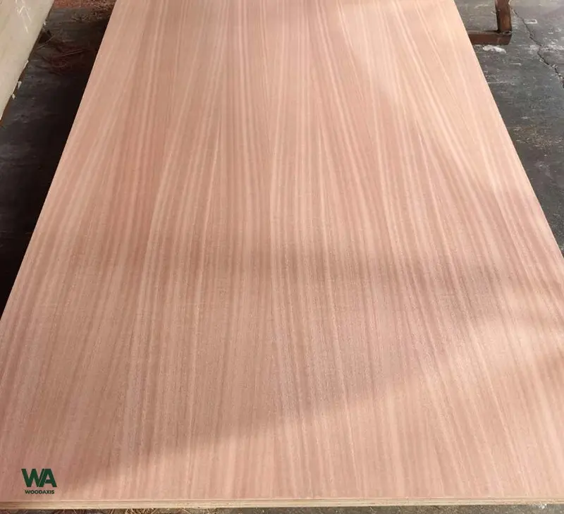 sapele fancy plywood