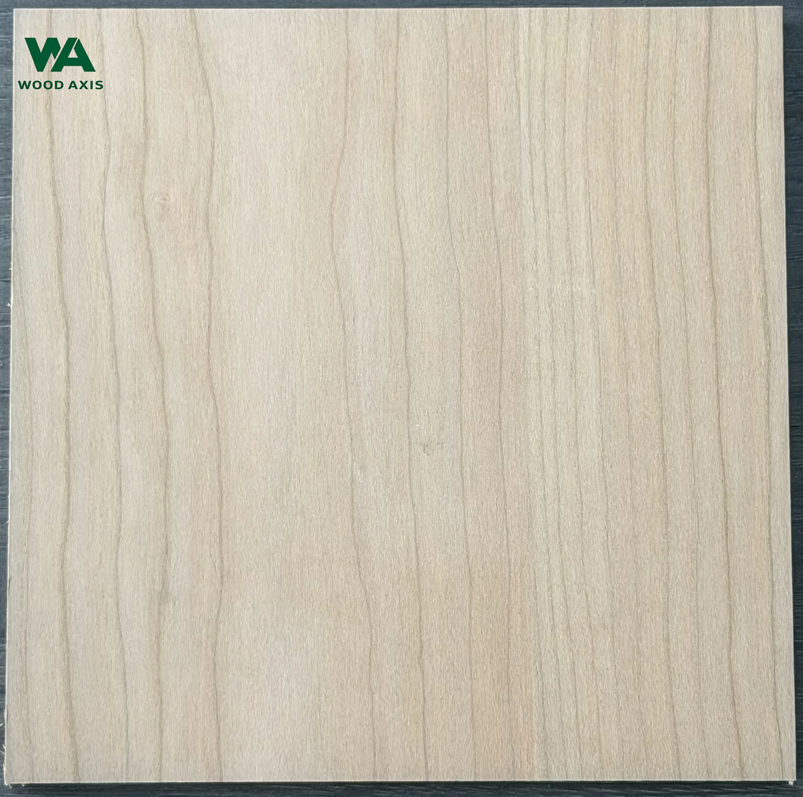 Cherry Plywood 2 A high-resolution macro photograph of a premium cherry plywood face veneer, showcasing its warm pinkish-brown tone, closed pores, and ultra-fine, wavy growth ring lines.