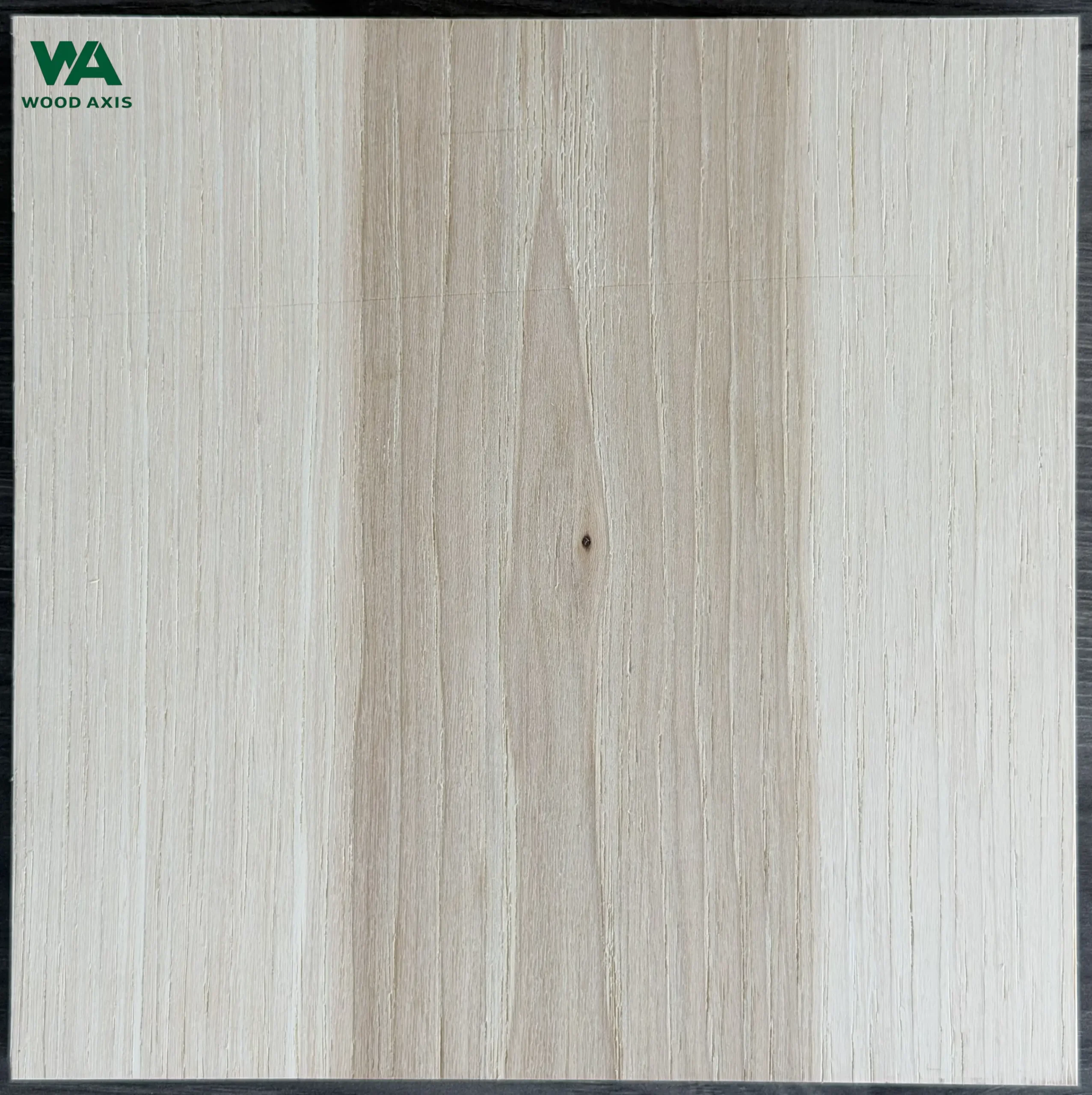 Hickory Plywood 2 A detailed micro photograph of an un-filled hickory plywood surface, highlighting the coarse, open-grained wood pores and rough, organic fibrous texture before finishing.