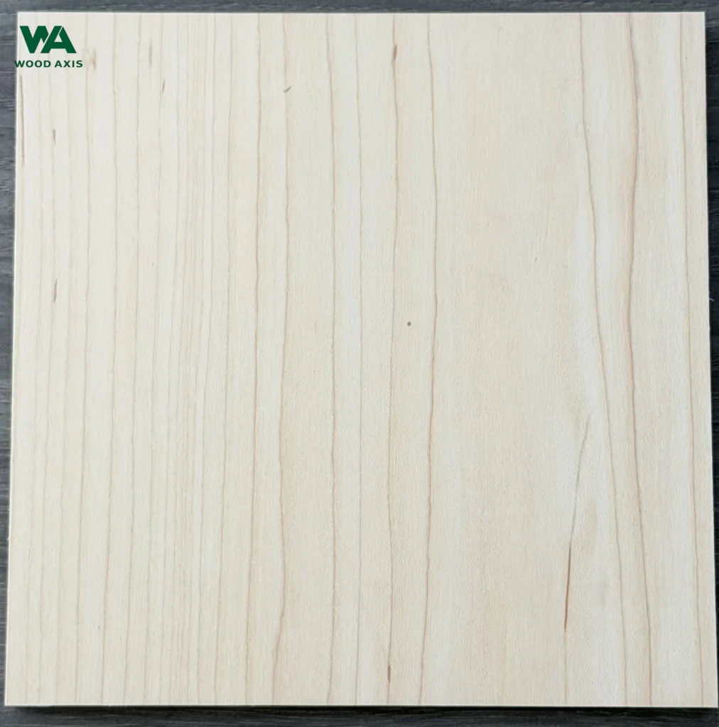 A high-resolution, extreme close-up view of a premium hard maple plywood surface, showing the tight, fine wood pores, smooth silky texture, and subtle, wavy growth rings characteristic of A-grade sapwood.