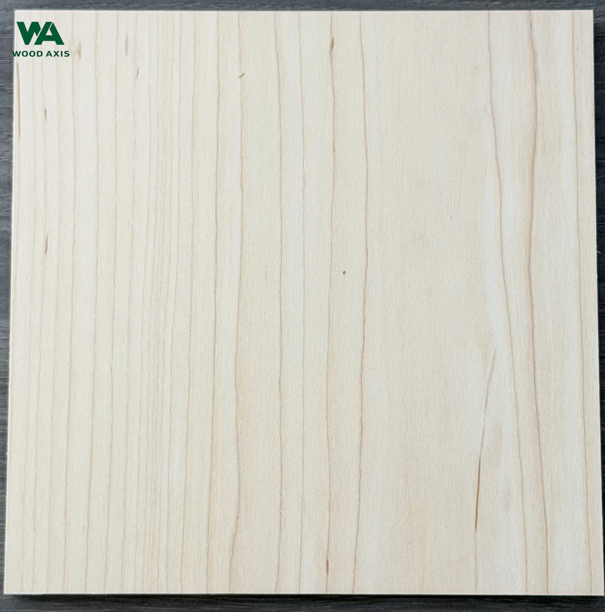 A high-resolution, extreme close-up view of a premium hard maple plywood surface, showing the tight, fine wood pores, smooth silky texture, and subtle, wavy growth rings characteristic of A-grade sapwood.