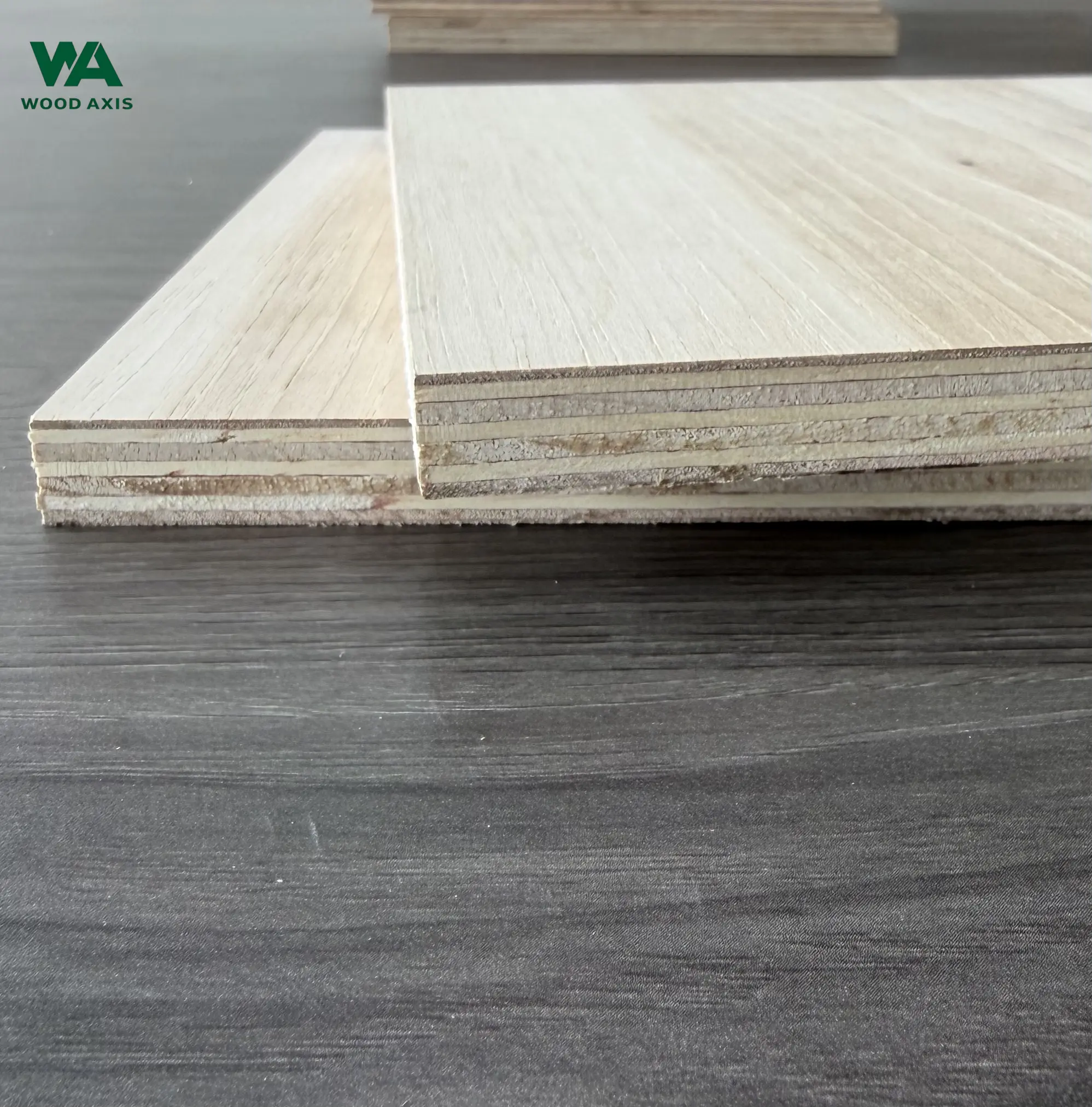 Hickory Plywood 4 Technical macro photo of a freshly sawn edge on a dense hickory plywood panel, demonstrating a clean, razor-sharp cut line with absolutely zero face veneer tearing or fiber lifting.