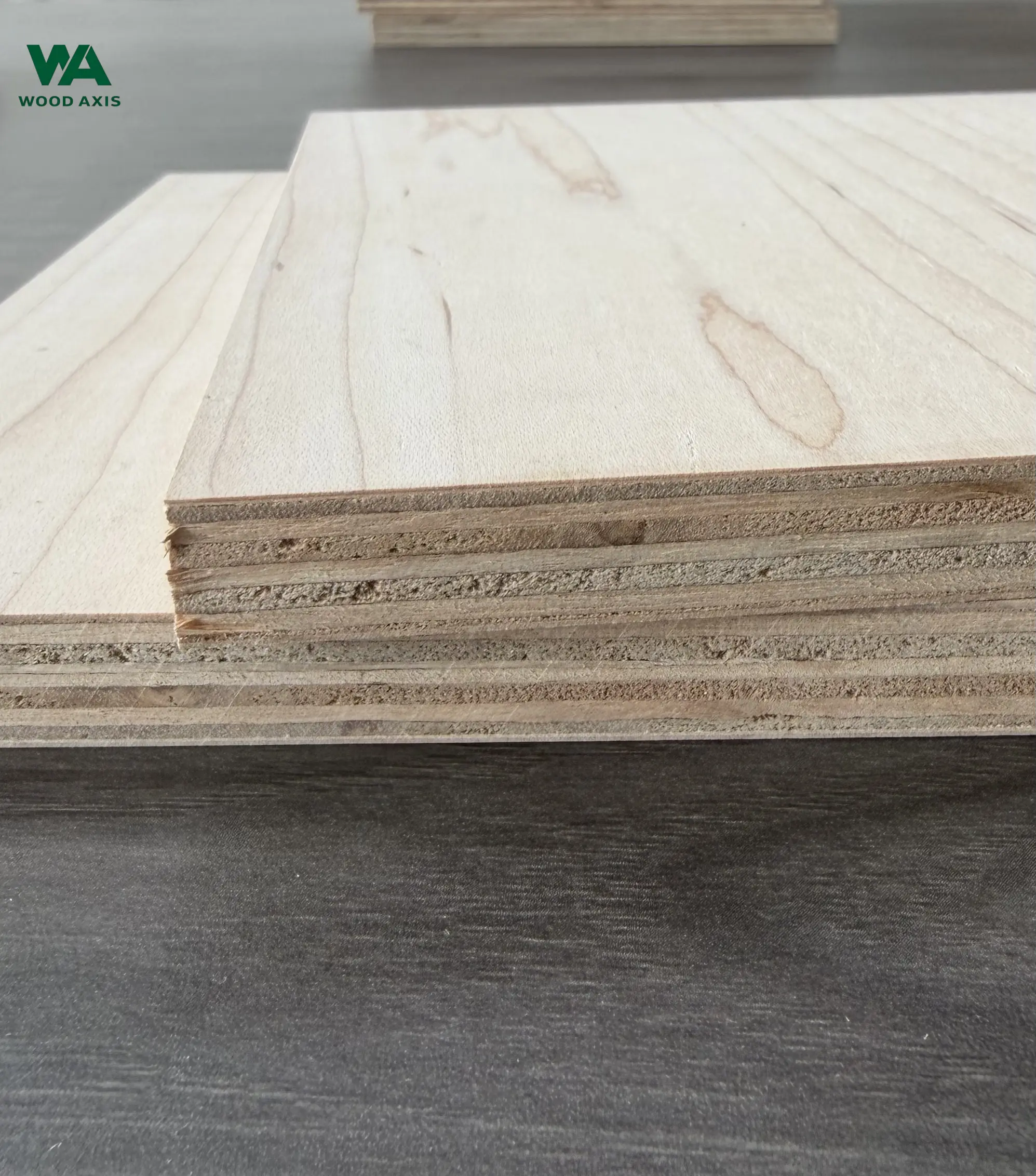 A high-resolution, extreme close-up view of a premium hard maple plywood surface, showing the tight, fine wood pores, smooth silky texture, and subtle, wavy growth rings characteristic of A-grade sapwood.
