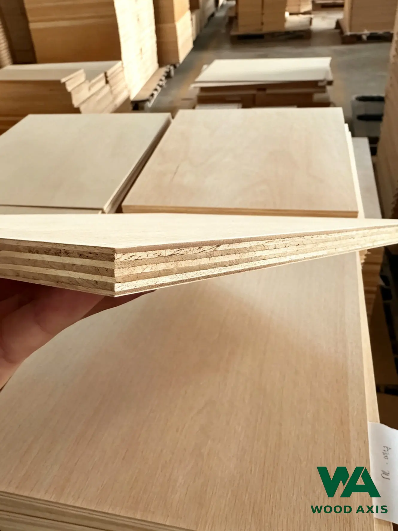 Birch Plywood 1 A collection of decorative fancy plywood panels with various natural wood veneers