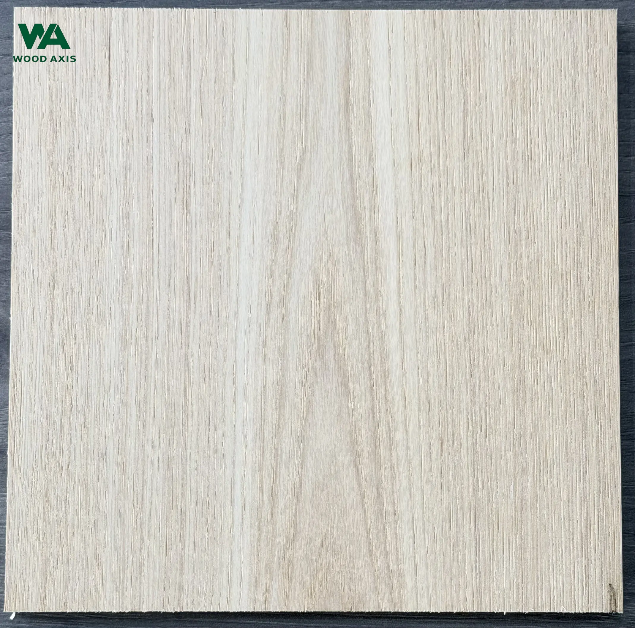 Hickory Plywood 1 A detailed micro photograph of an un-filled hickory plywood surface, highlighting the coarse, open-grained wood pores and rough, organic fibrous texture before finishing.