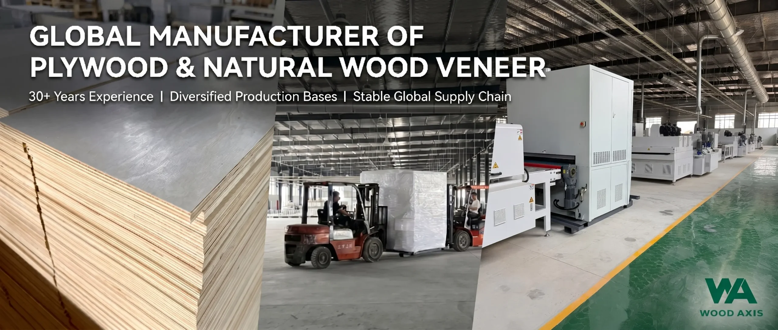 plywood production workshop with inside view. Fully automated UV coating production line for high-gloss and matte finish plywood sheets