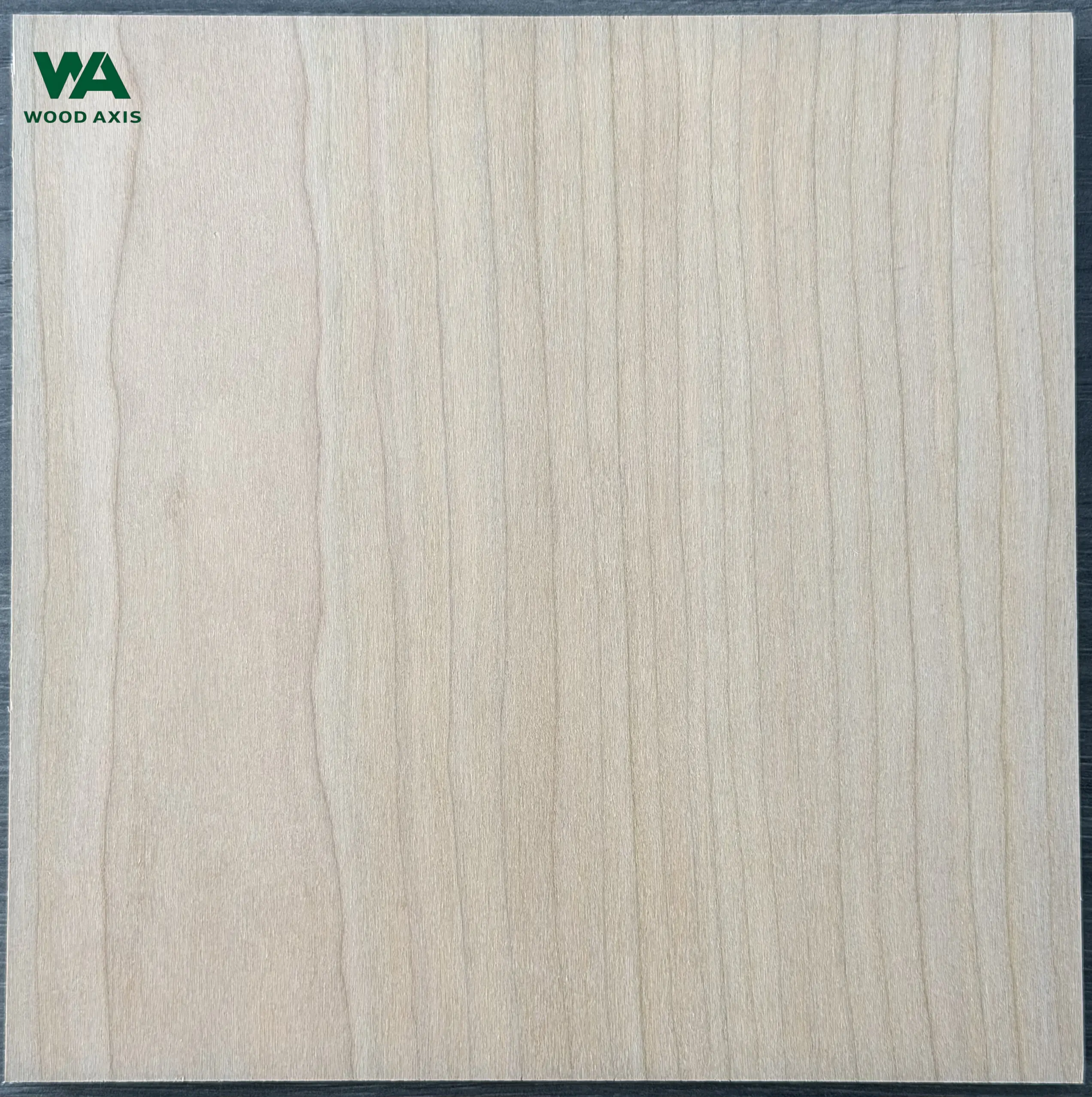 Cherry Plywood 3 Close-up texture of a plain-sliced cherry plywood panel, focusing on the smooth, sweeping arches and symmetrical cathedral patterns formed by the natural log slicing process.