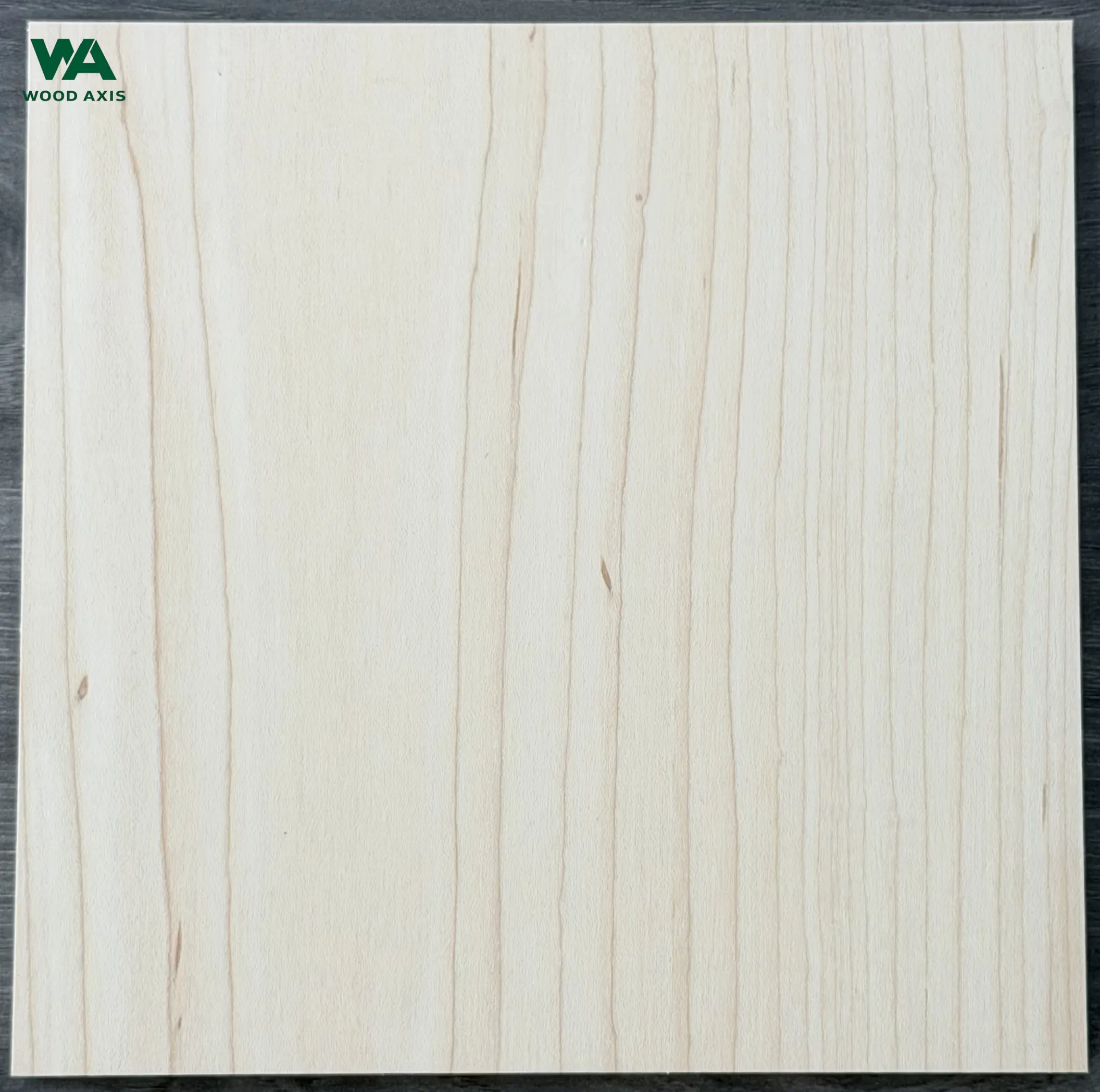 Side-angle macro view of a cabinet-grade maple plywood sheet face, showing light reflecting off a flawless, knot-free surface pre-sanded to a uniform 180-grit smoothness.