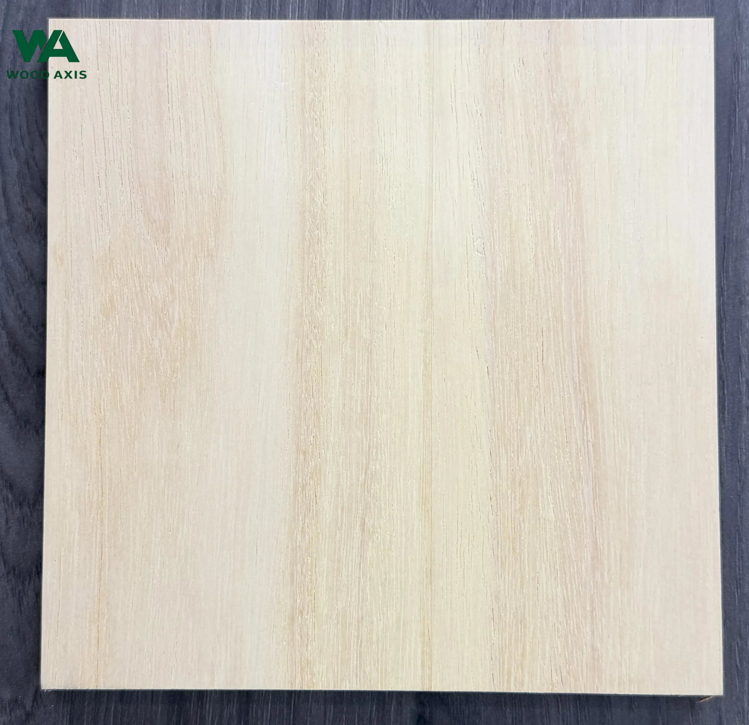 Rubberwood Plywood 2 Close-up texture of a premium rubberwood face veneer, capturing the consistent, warm blond coloration with minimal natural sapwood-to-heartwood color variations.