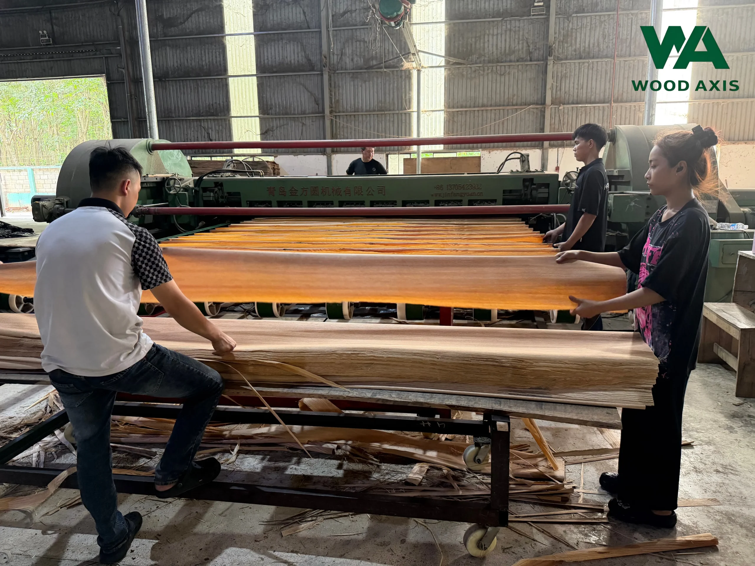wood-veneer-in-production-2