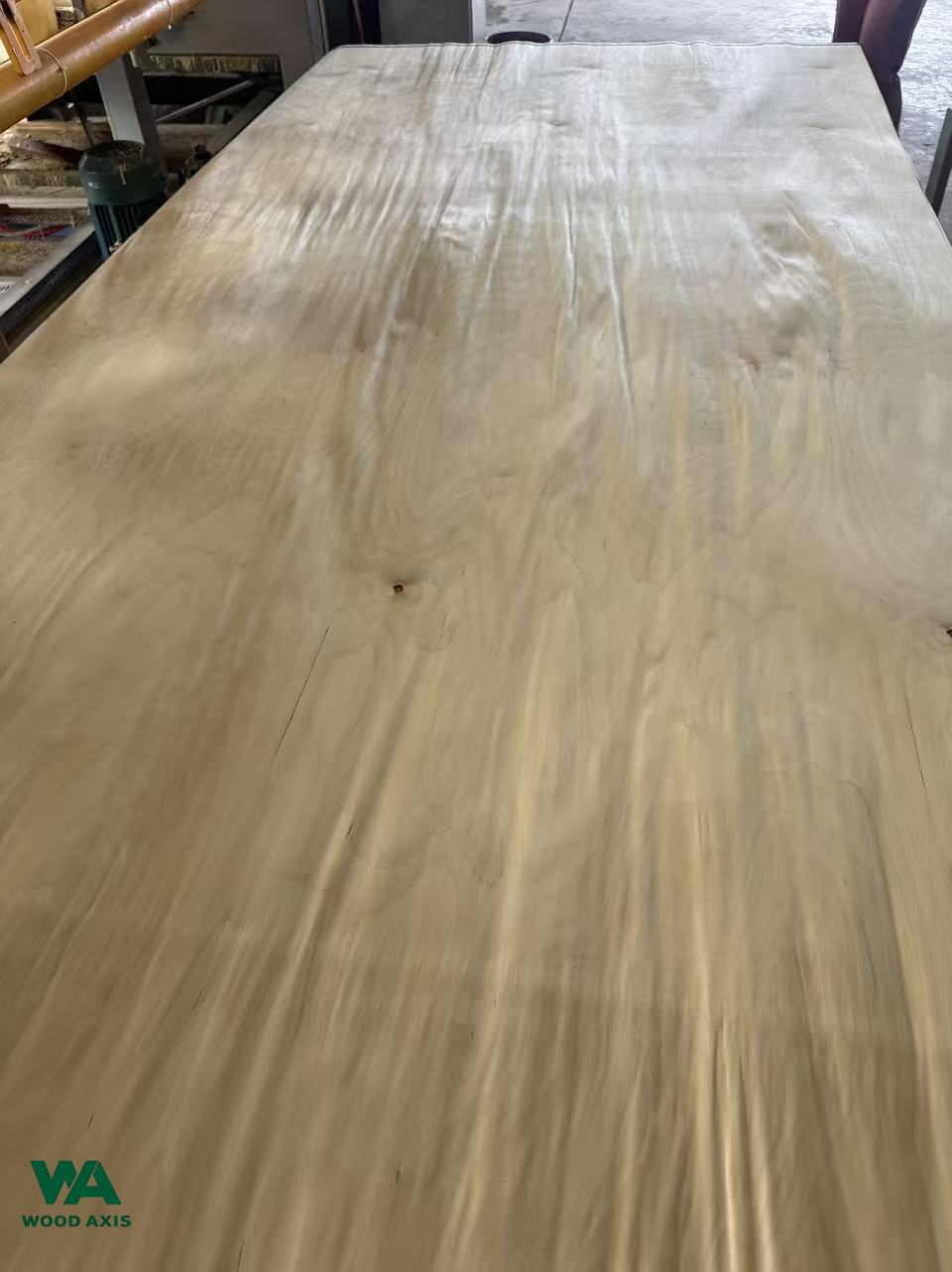 Birch Veneer 1 Natural birch veneer sheet with detailed grain pattern for furniture surfacing.