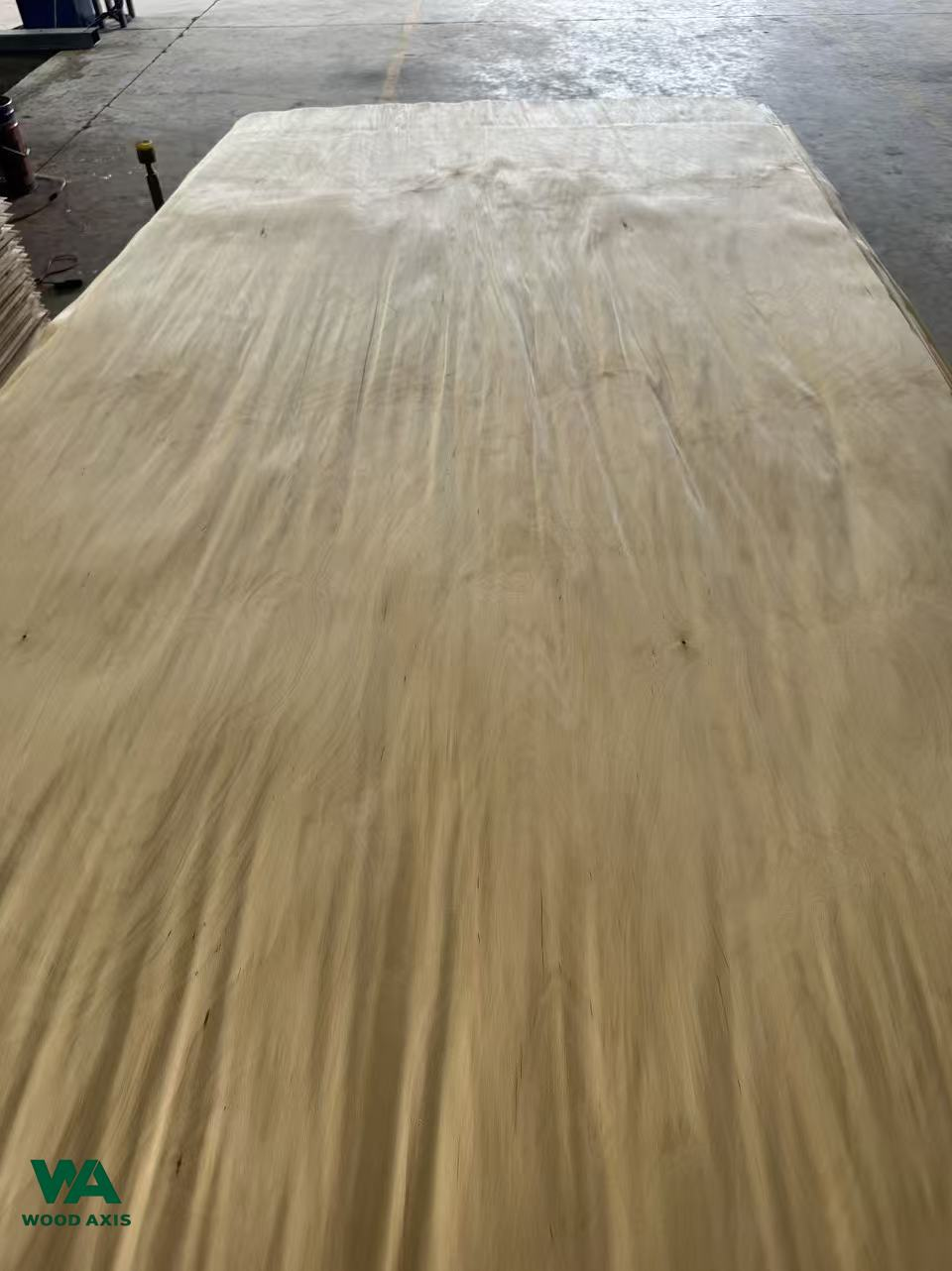Natural birch veneer sheet with detailed grain pattern for furniture surfacing.