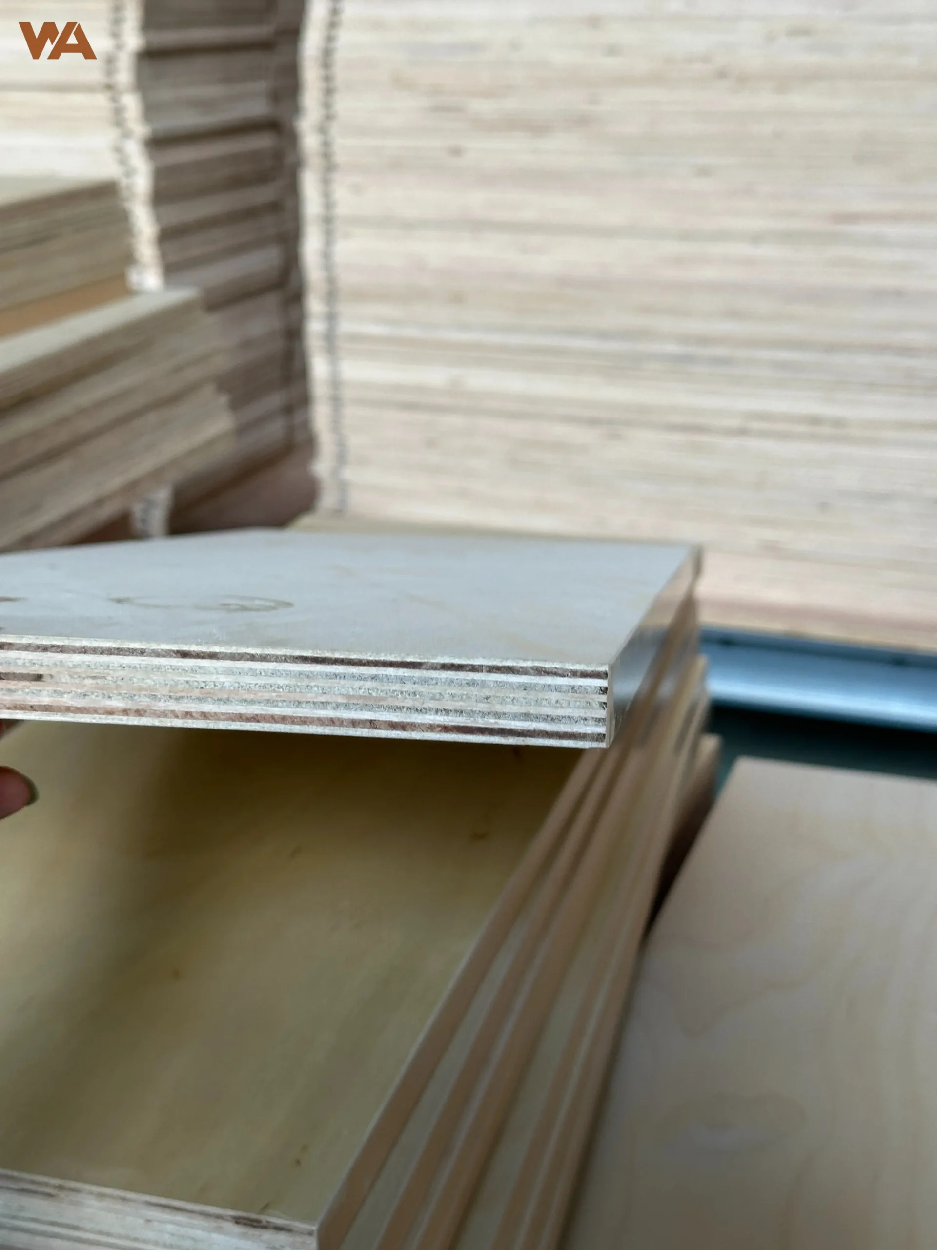Close-up view of stacked high-grade Birch plywood panels showing core layer construction and uniform thickness