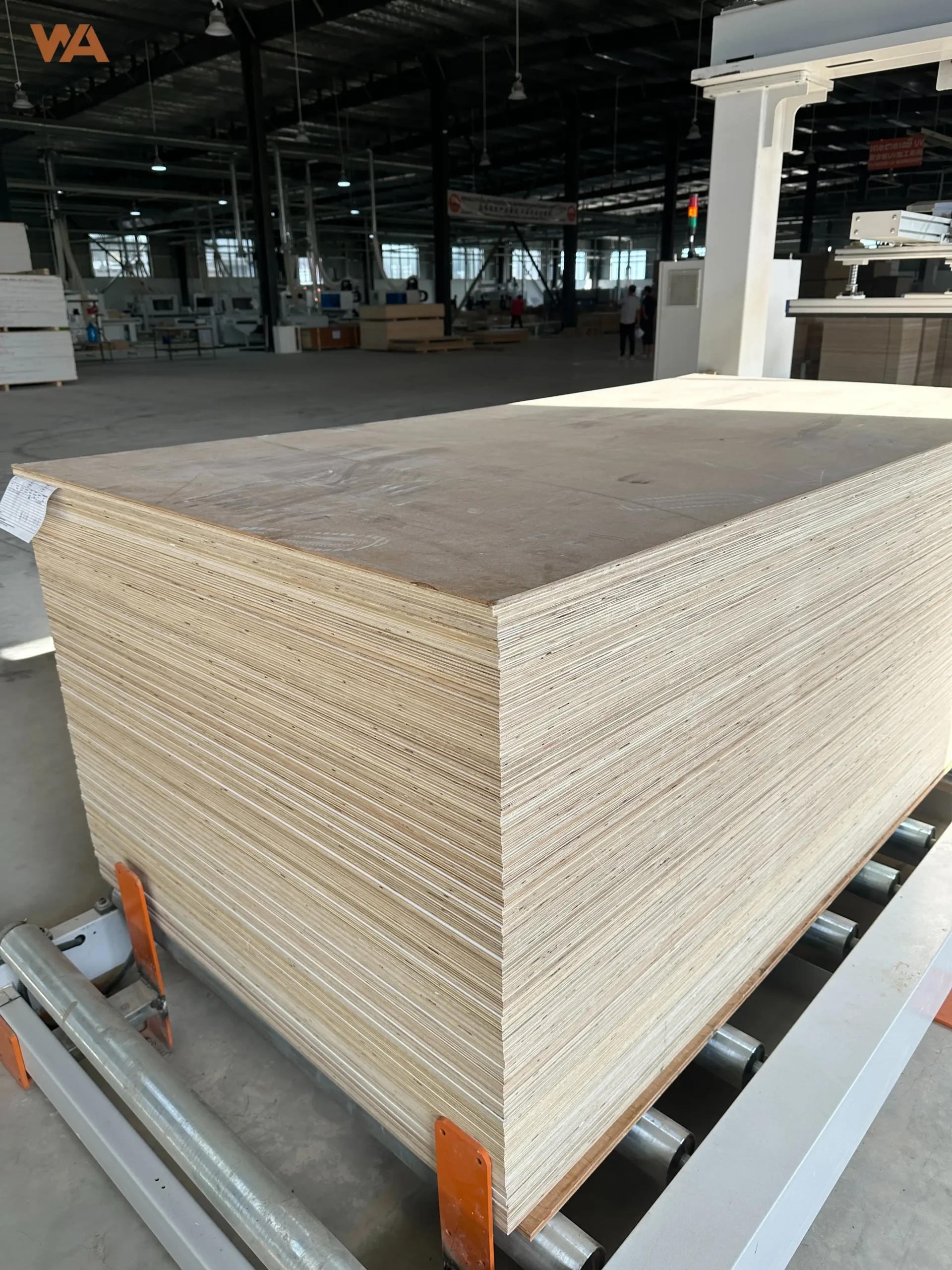 Close-up view of stacked high-grade Birch plywood panels showing core layer construction and uniform thickness