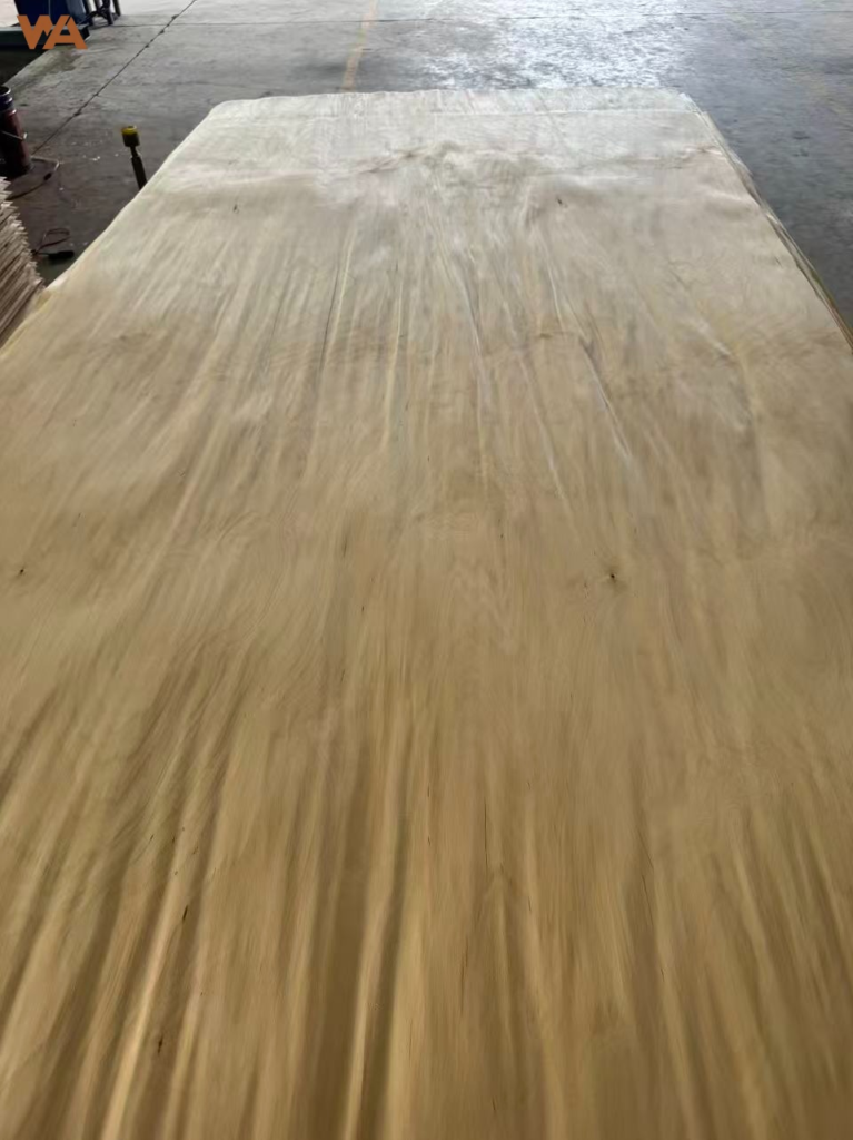 Natural birch veneer sheet with detailed grain pattern for furniture surfacing.