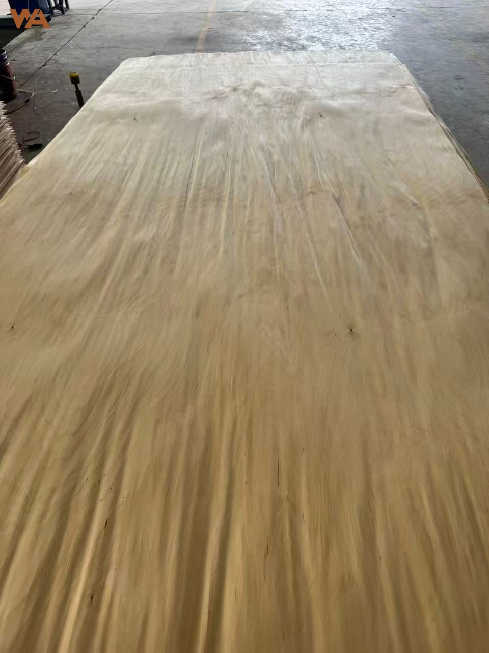 Wood Veneer 1 Natural birch veneer sheet with detailed grain pattern for furniture surfacing.
