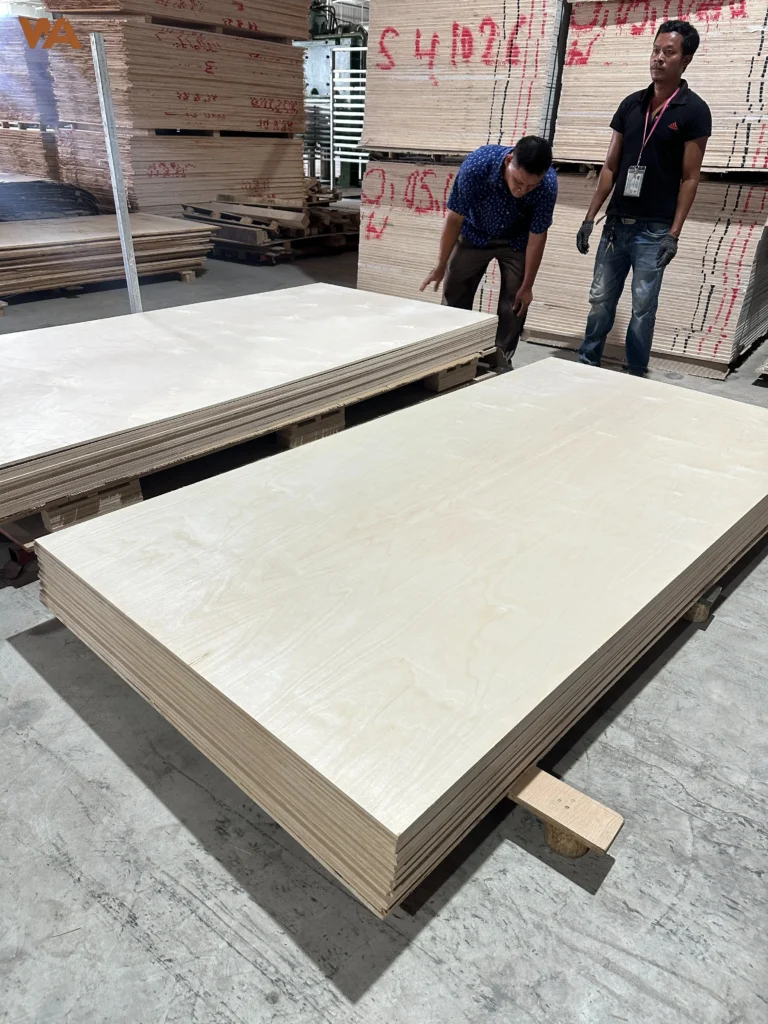 High-resolution image of smooth, light-toned birch plywood face veneer showing fine grain texture and uniform multi-ply core edge.