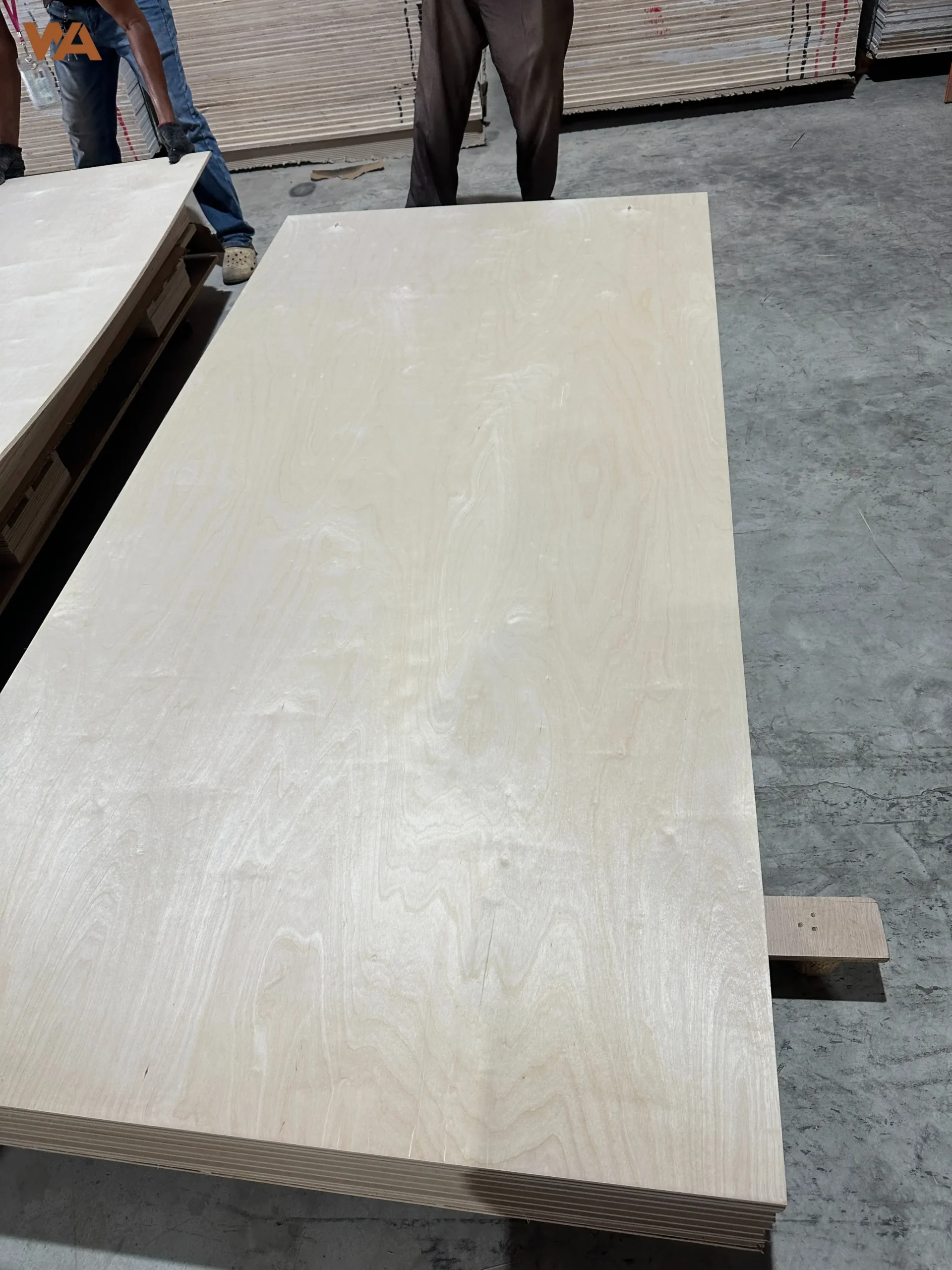 High-resolution image of smooth, light-toned birch plywood face veneer showing fine grain texture and uniform multi-ply core edge.